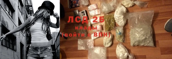 PSILOCYBIN Нефтегорск