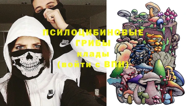 PSILOCYBIN Нефтегорск