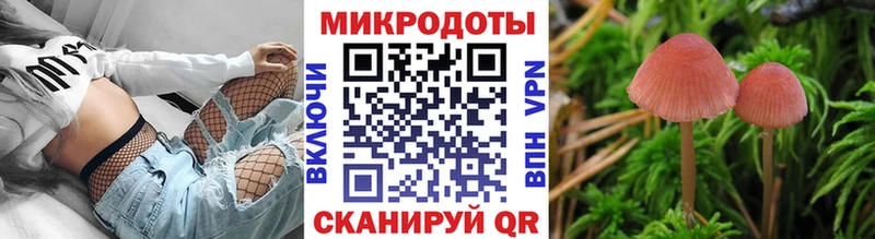 кракен зеркало  магазин    Каспийск  Галлюциногенные грибы Magic Shrooms 