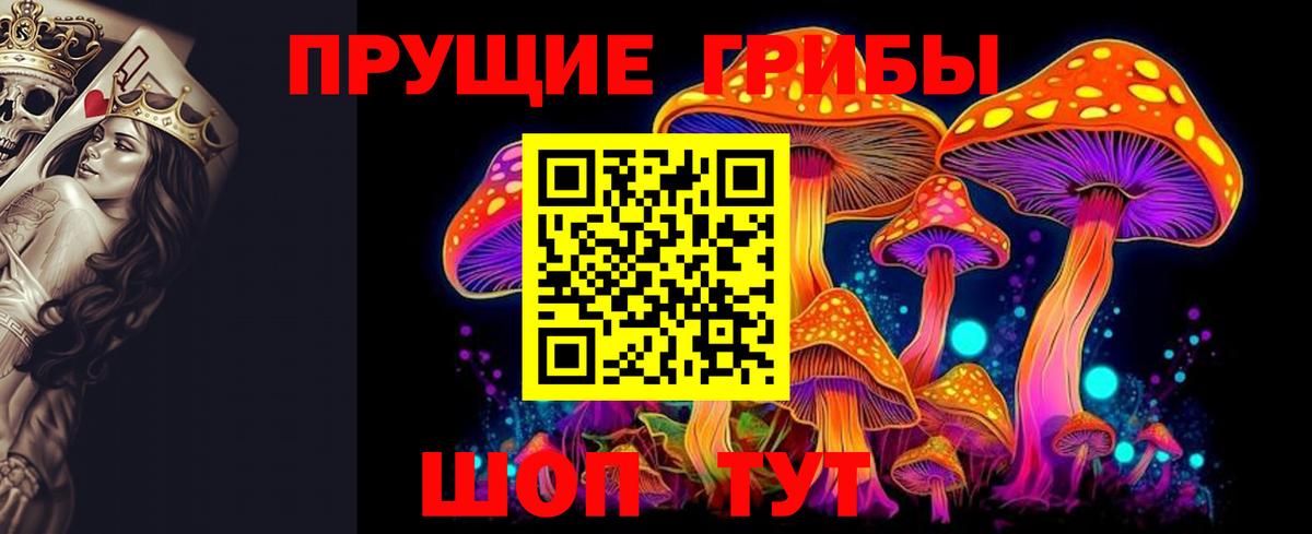Каспийск  Псилоцибиновые грибы Psilocybine cubensis  Вход с VPN 