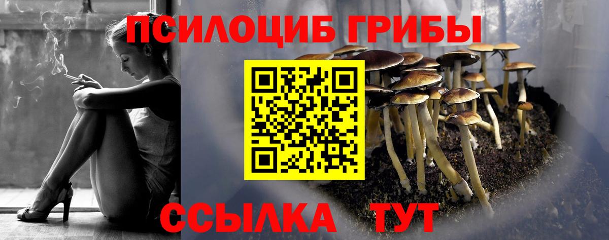 Галлюциногенные грибы MAGIC MUSHROOMS Каспийск