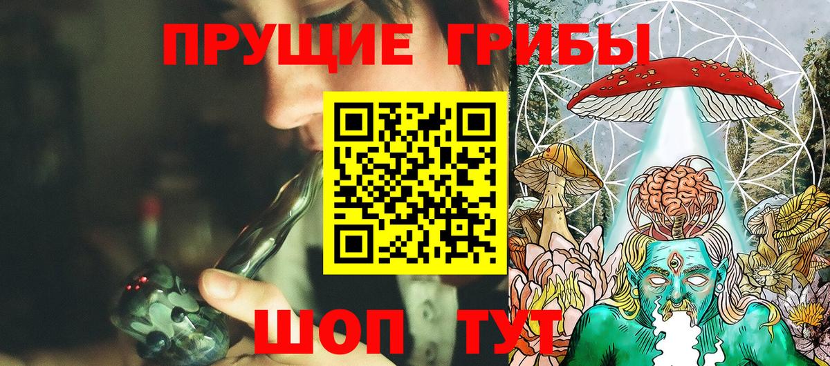 Псилоцибиновые грибы прущие грибы  Каспийск 